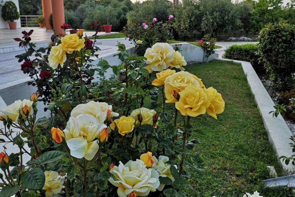 Fiore Di Rodi - Private Pool, Jacuzzi And Barbecue Ialisos Exterior foto