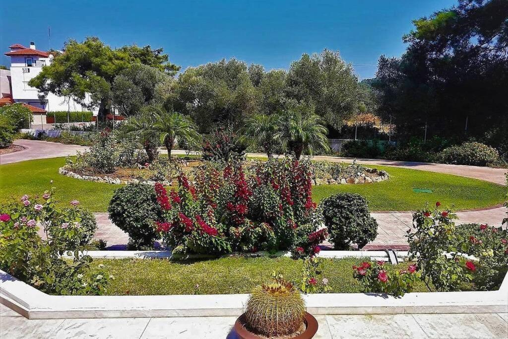 Fiore Di Rodi - Private Pool, Jacuzzi And Barbecue Ialisos Exterior foto